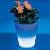Vaso Luminoso