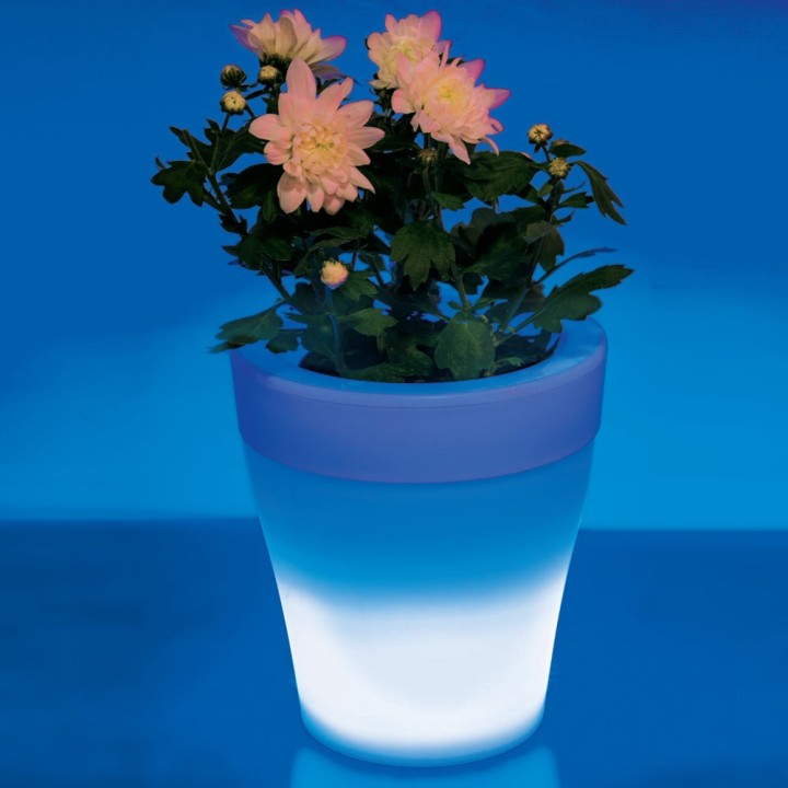 Vaso Luminoso