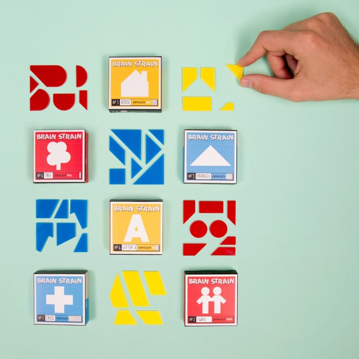 Brain Puzzle
