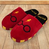 Ciabatte di Harry Potter