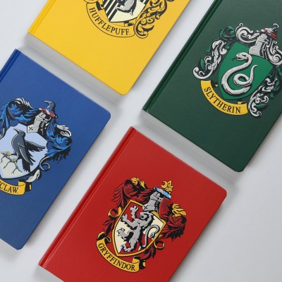 Agende case di Hogwarts A5