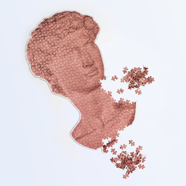 Puzzle David