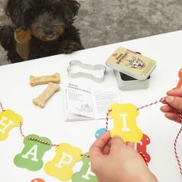 Kit per compleanno Cane