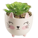 Vaso Gatto
