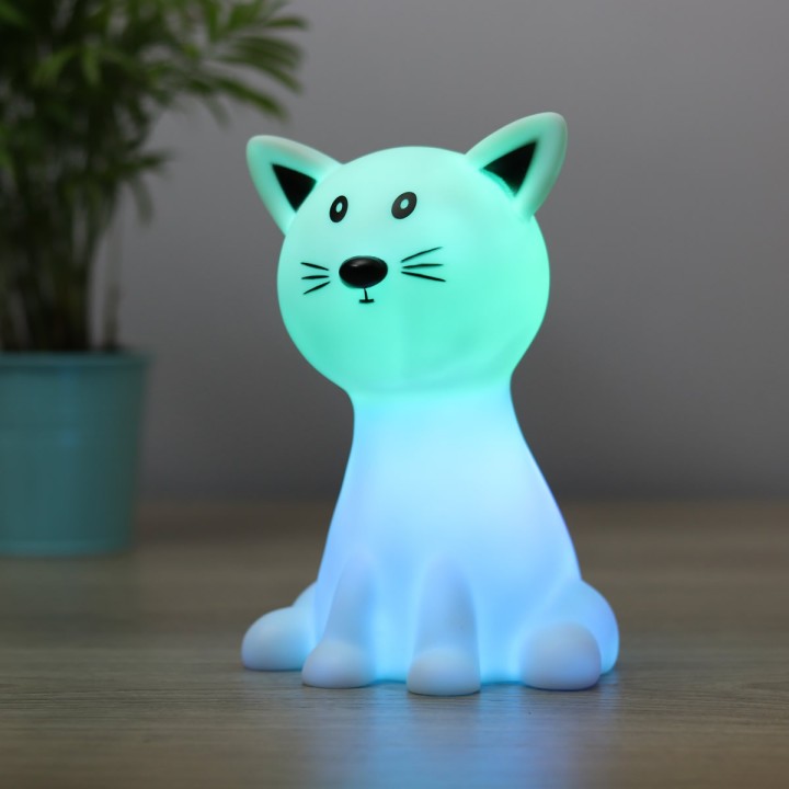Gatto Luminoso
