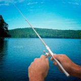 Penna canna da pesca