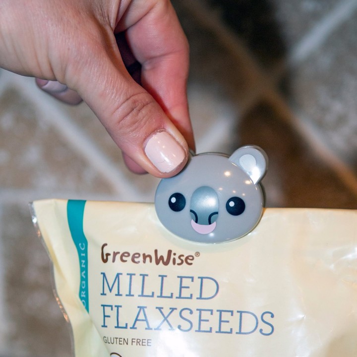 Mollette Koala