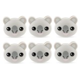 Mollette Koala