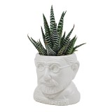 Mini vaso Freud