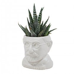 Mini vaso Freud