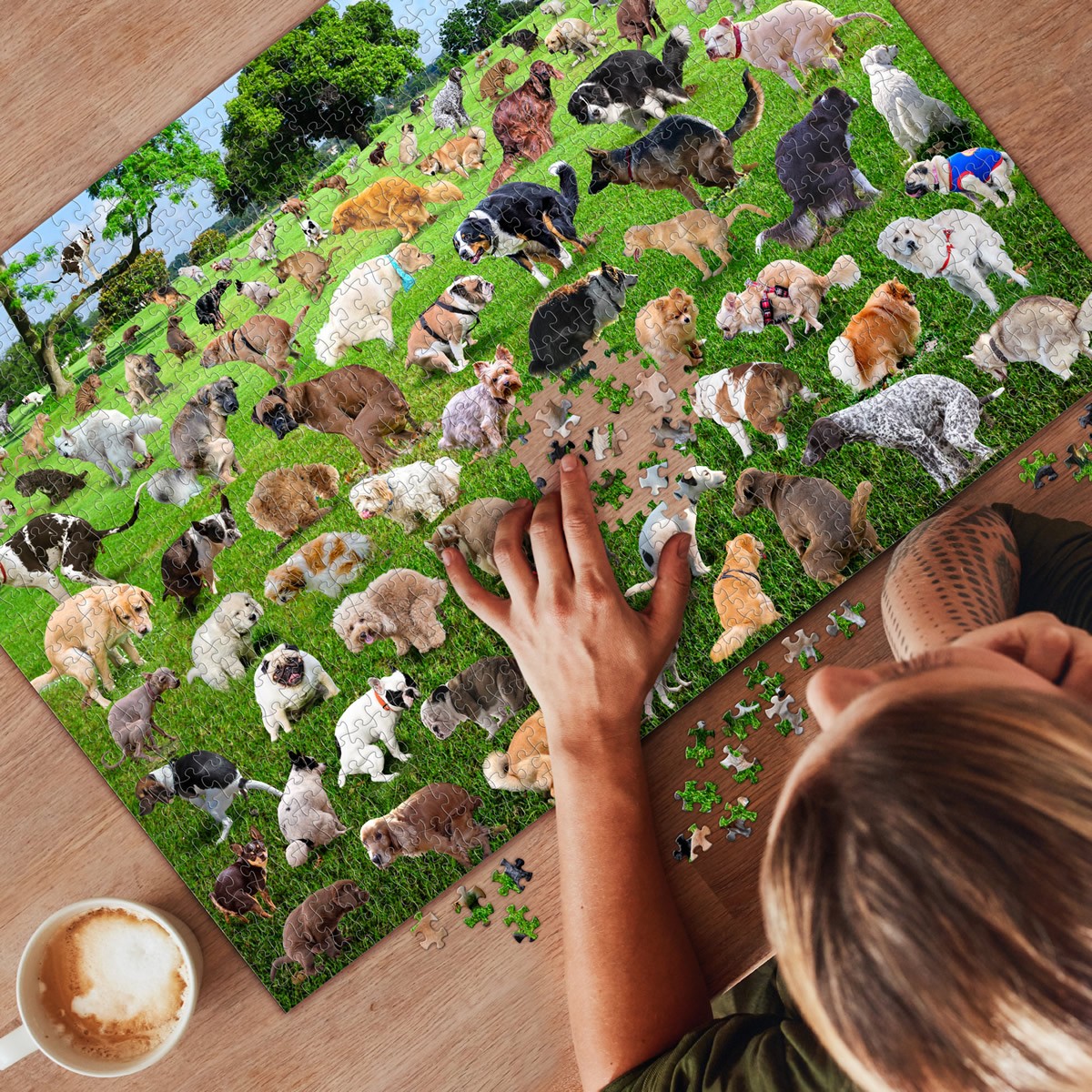Puzzle Pooping Dogs