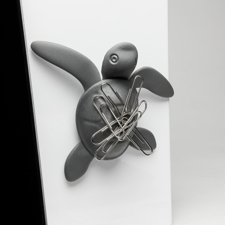 Magnete Tartaruga