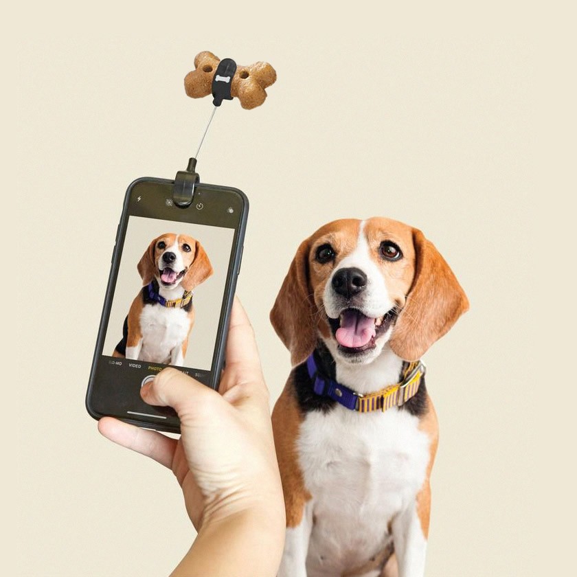 Attira cani per smartphone