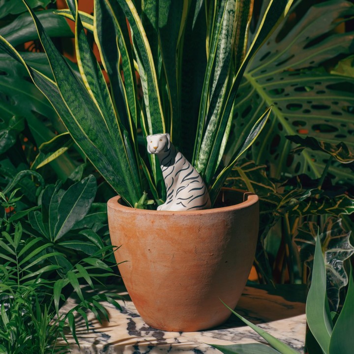 Irrigatore da vaso Tigre