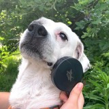 Kit per spa per cani