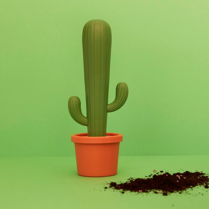 Spazzola per stoviglie Cactus