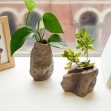 Micro vaso Sasso