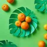 Foglia portafrutta