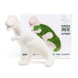 T-Rex erboso