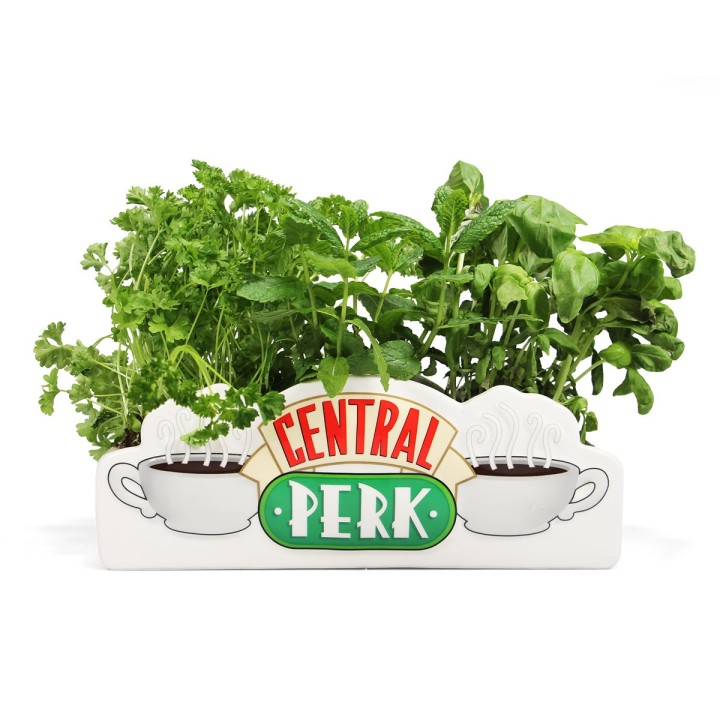 Vaso Central Perk
