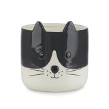 Vaso Gatto