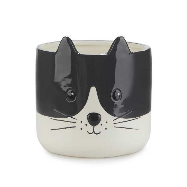 Vaso Gatto