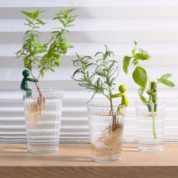 Omini reggi piantine