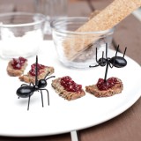 Formiche da aperitivo