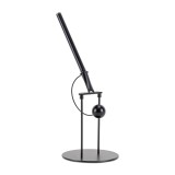 Penna Equilibrista