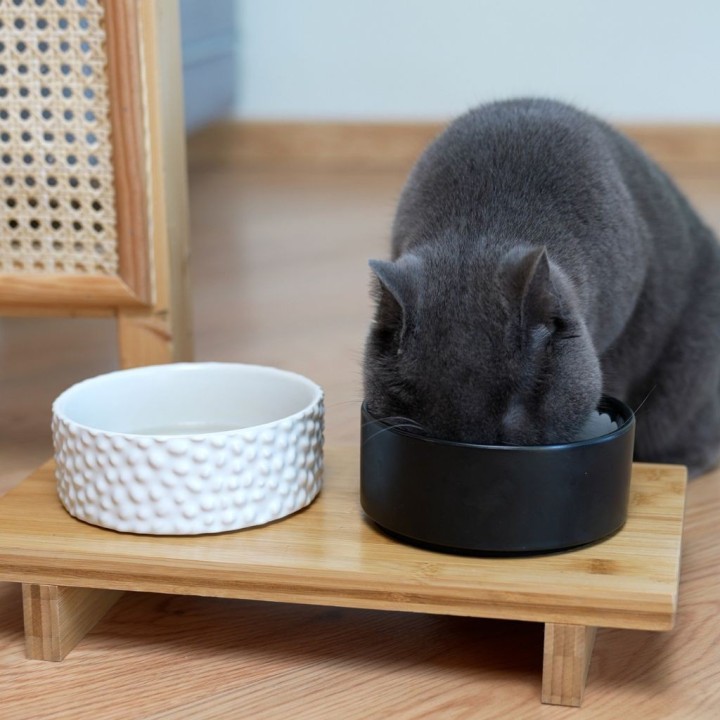 Doppia ciotola per animali Sushi