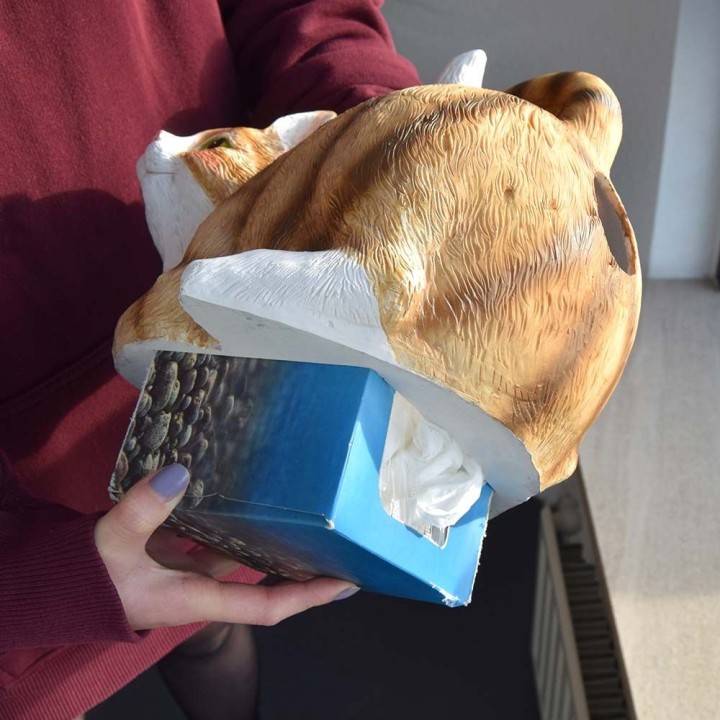 Gatto porta fazzoletti