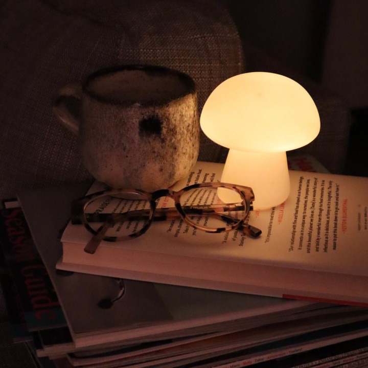 Lampada Fungo