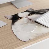 Tappetino da scrivania Gatto