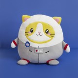 Cuscino Astrogatto