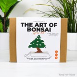 Kit L'arte del Bonsai