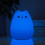Luce gatto Minino