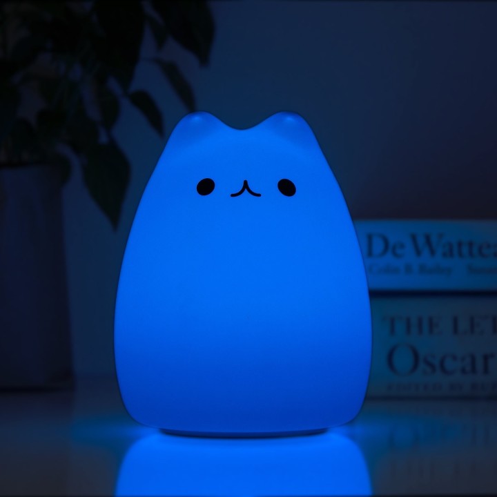 Luce gatto Minino