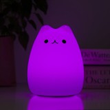 Luce gatto Minino
