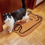 Zerbino gatto Coccolone