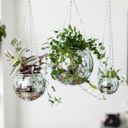 Disco ball per piante