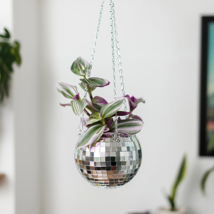 Disco ball per piante