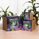 Disco ball per piante