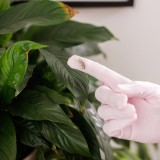 Guanti pulisci piante