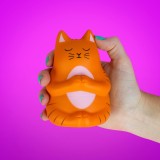 Gatto meditabondo antistress