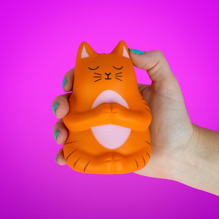 Gatto meditabondo antistress