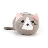 Gatto pulisci schermo