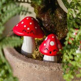 Funghi da vaso