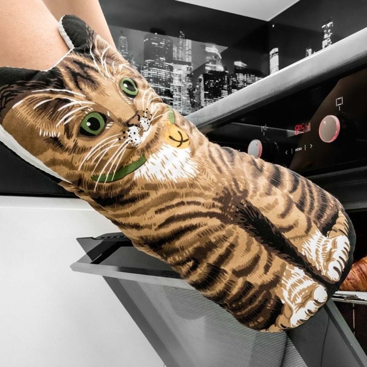 Gatti guanti da forno