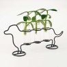 Cane porta talee