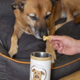 Kit per dolcetti per cani